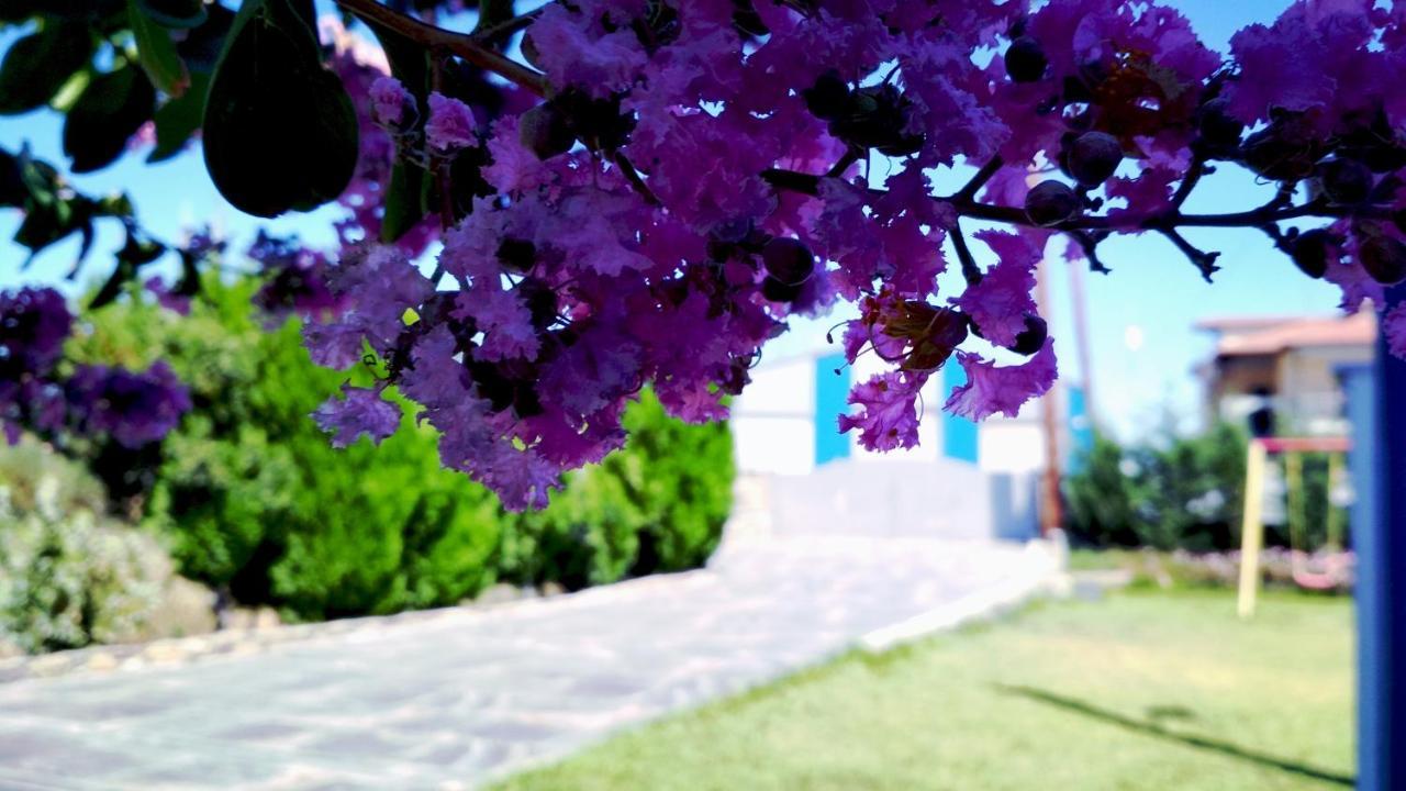 אורמוס פנגיאס Zephyros Family Apartments 1 מראה חיצוני תמונה