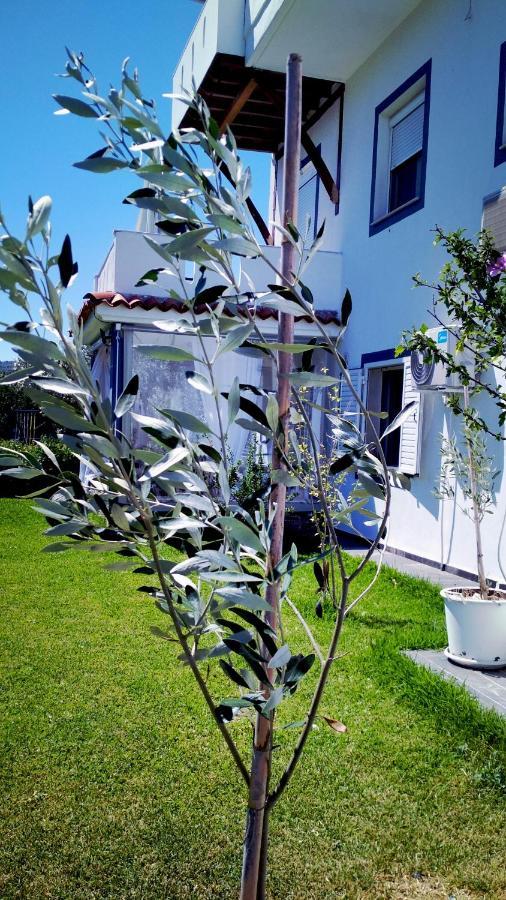 אורמוס פנגיאס Zephyros Family Apartments 1 מראה חיצוני תמונה